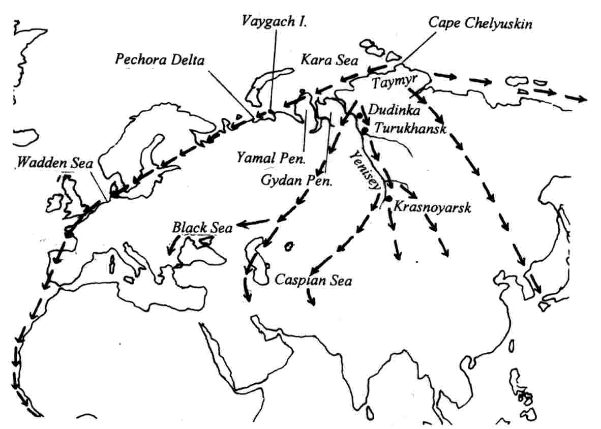 Map showing fall migration routes of birds that breed in the Palearctic