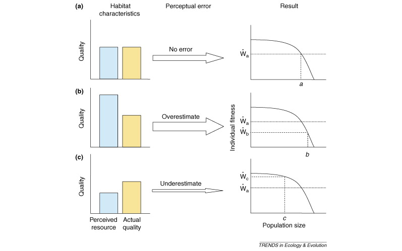 Graphs illustrating results of ecological traps