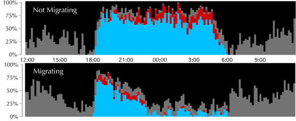 Graphic showing differences in time spent sleeping between a bird that is not migrating and one that is migrating