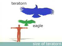 Relative size of a human, eagle, and teratorn