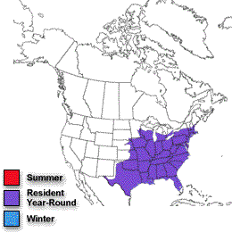 Map showing year round range of Tufted Titmice