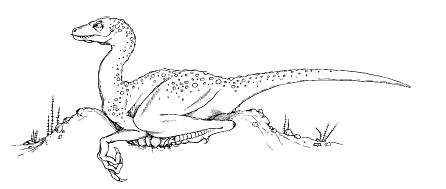 Drawing of a Troodon on its nest