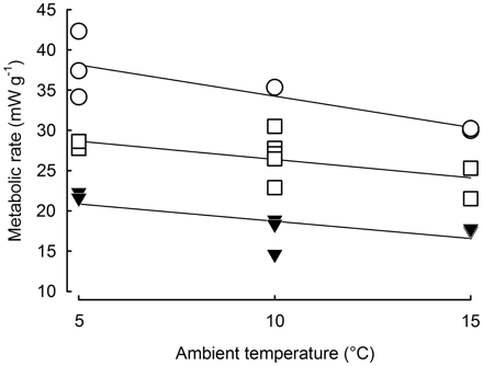 Graph showing relationship between ambient temperature and metabolic rate of Blackcaps with alone and when huddling
