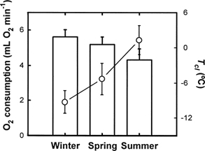 Bar graph showing oxygen consumption of goldfinches during winter, spring, and summer