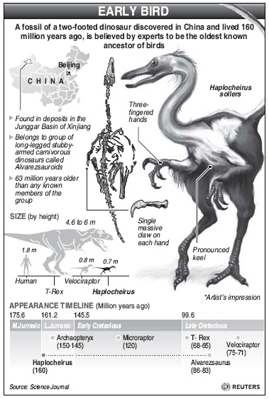 The Origin of Birds - Wikipedia