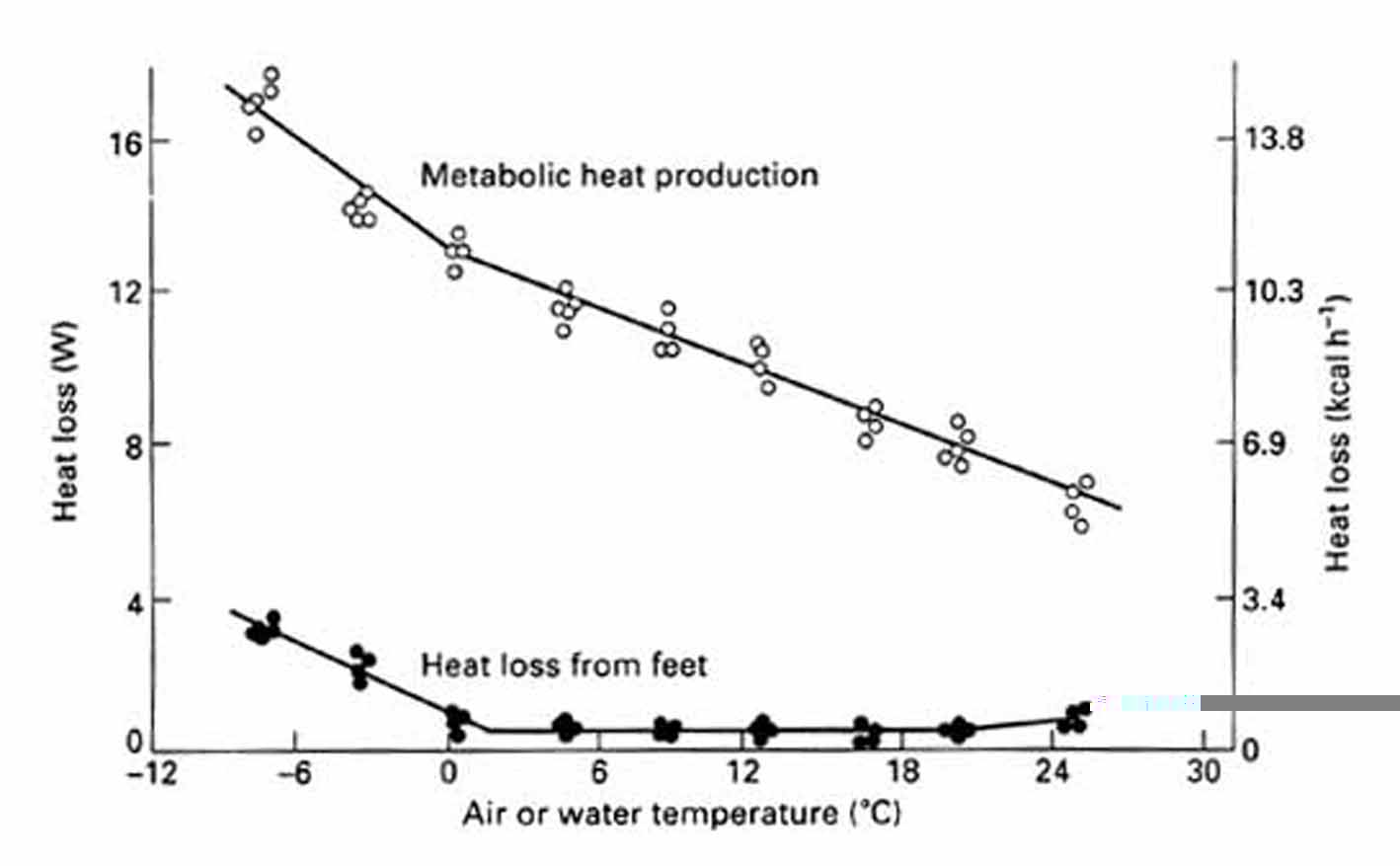 Graph showing relationship between air or water temperature and heat loss from a bird's foot