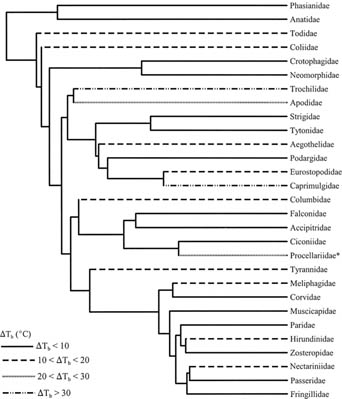 Phylogenetic distribution of avian facultative hypothermic responses