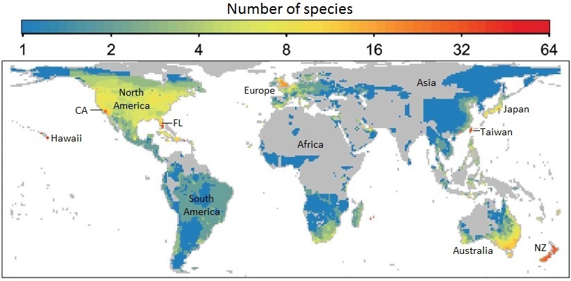 Species richness by biogeographical area and provinces