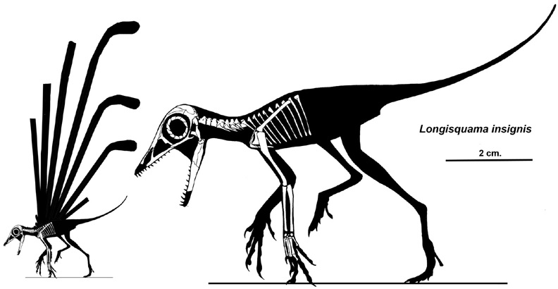 PTEROSAURS ATTACK DINOSAURS! Aviary Mechanics Explored In Jurassic