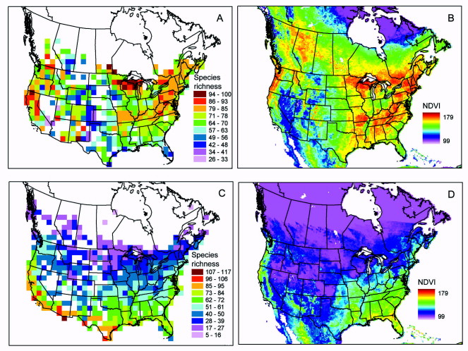 Colored maps showing avian species richness in the United States and Canada
