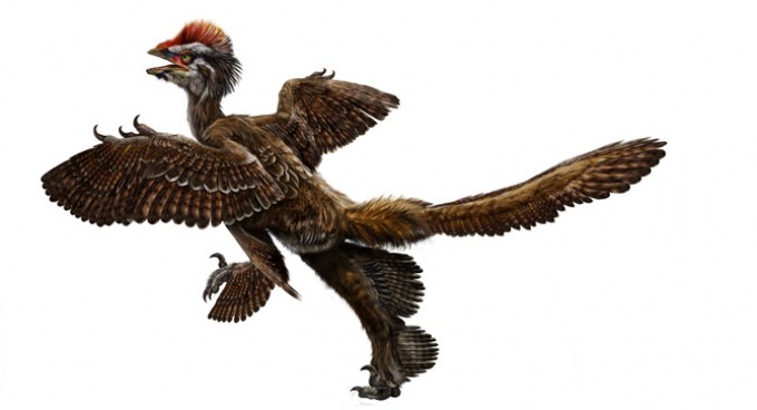 From scales to feathers: How birds evolved from dinosaurs •