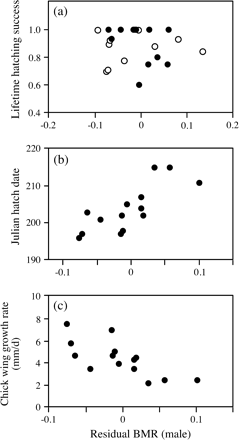 Graphs showing relationships between metabolic rate and hatching success, hatch date, and growth rate of Leach's Storm-Petrels