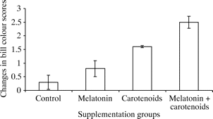 Bar graph showing changes in bill color after male Zebra Finches were supplemented with melatonin and carotenoids