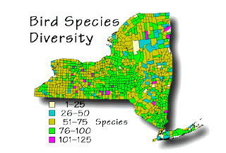 Colored map showing bird species richness in the state of New York