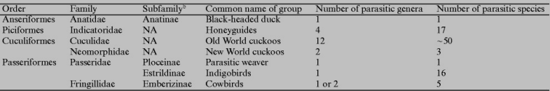 Table with information about the number of obligate brood parasites in four orders of birds