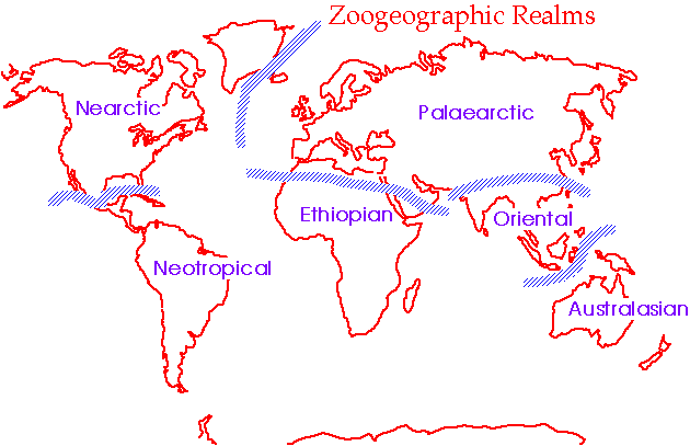 Zoogeographical realms
